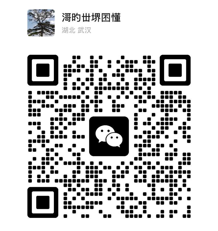 为出海企业提供代投服务，免去企业运营困难。菲律宾、新加坡有实体办公室